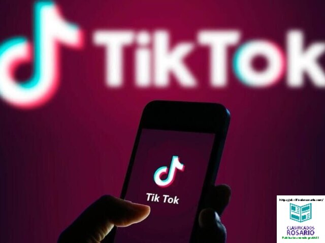 Seguidores de TikTok ( No Bots )