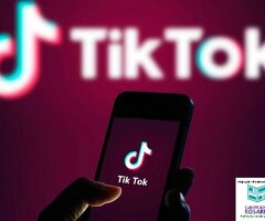 Seguidores de TikTok ( No Bots )